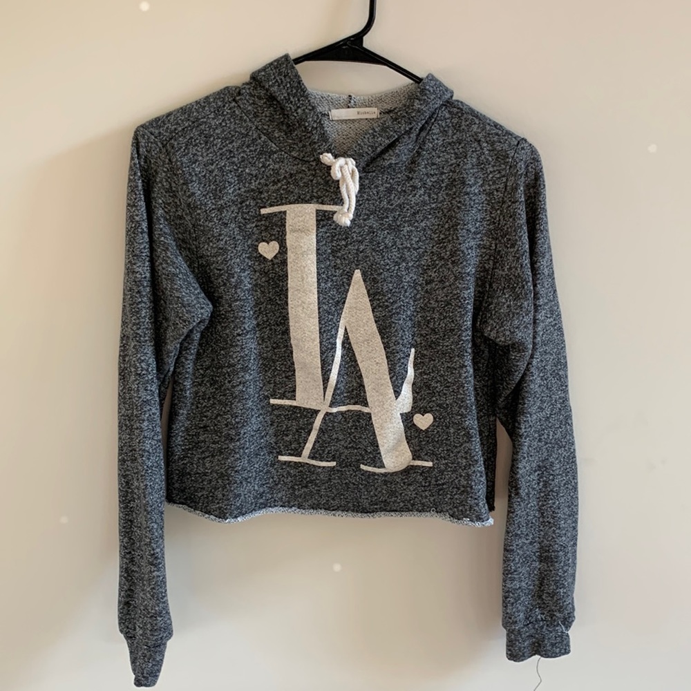 Michelle gray crop hoodie